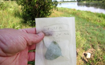 Schwarzpappelexperte des NABU Dr. Jörg Lorenz nahm Proben von Knospen und Blättern und lieferte sie an den SBS, um mittels gentechnischer Untersuchung die Art bestimmen zu lassen. | Foto: Jörg Lorenz | NABU Sachsen